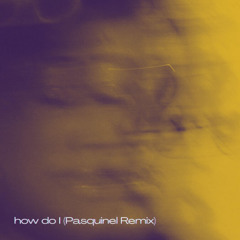 Anieszka - How Do I (Pasquinel Remix)