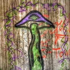 Creation [unmastered]