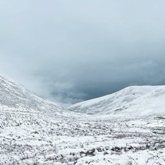 Don't Trip w/ Margarita 010424