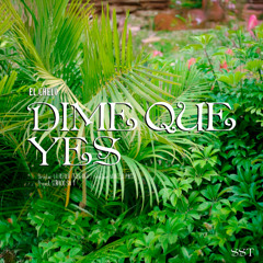 El Chelo - DIME QUE YES
