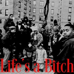 Life's a B!tch