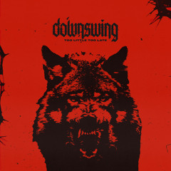 Too Little Too Late (feat. Chris Roetter)