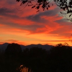 Beethoven G maj Trio, Op.1, No.2