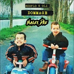 Bigflo & Oli - Dommage (Nalex Dee Bootleg) (CarréVIP#12)