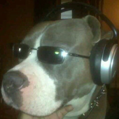 Jungle No Fever (Roxi)