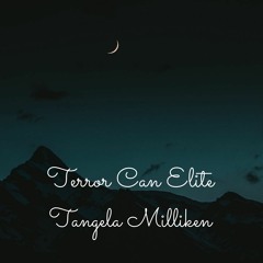 Terror Can Elite