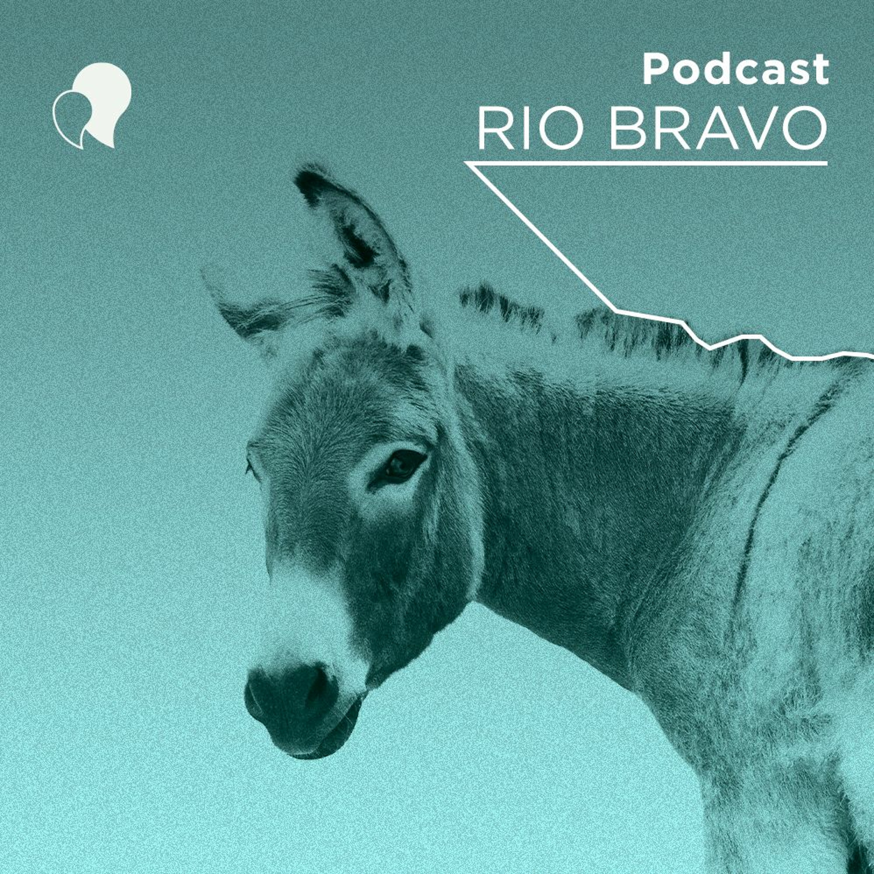 Podcast RioBravo