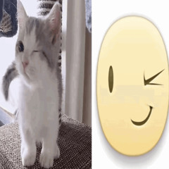 TESCO RADIO - MEGHODITOTTAM