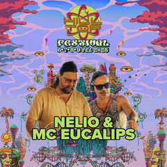 Nelio x MC Eucalips @ Hilltop Festival 2025