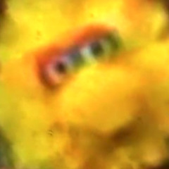 エアガンと少年