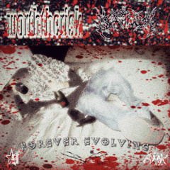 luv what u like (444jet) #st4rn9ne #tgm