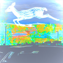 it could be a whole new world (prod. me)