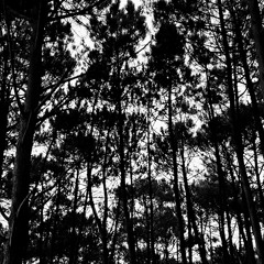 Rihanna Man Down (Dub-techno remix)