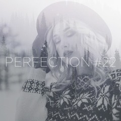 PERFECTION #22
