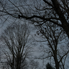 zoom dip - MadeAfterMidnight x B4pm