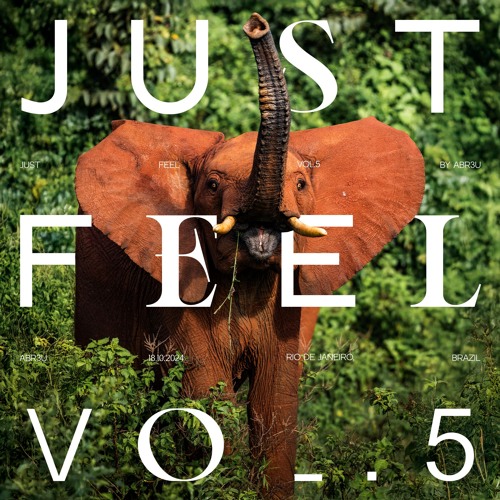 Abr3u @ Just Feel Vol.5