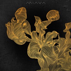 Ahmed Tohmé - Resistance