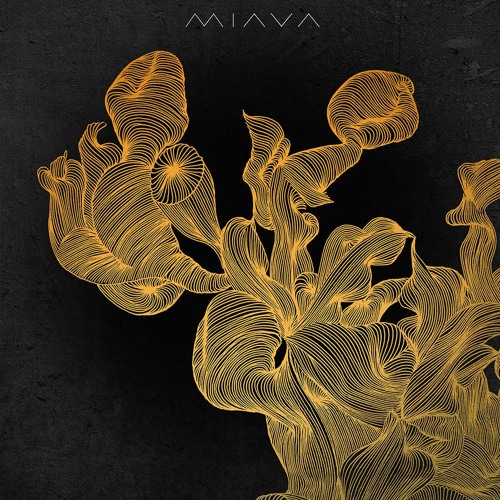 Ahmed Tohmé - Resistance