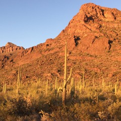 Sonoran Desert Wind Demo