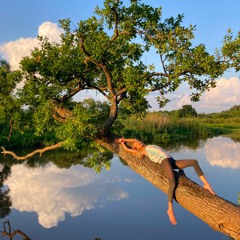 Taya Meditation Формула твердой решимости