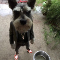 Stop It!(Prod.808iden)