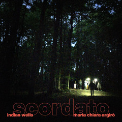 Indian Wells & Maria Chiara Argirò - Nightfall Song