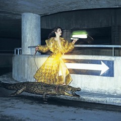 hounds of sosa (szczlux mszp)