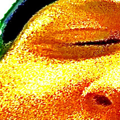 girl girl girl (clairo cover)