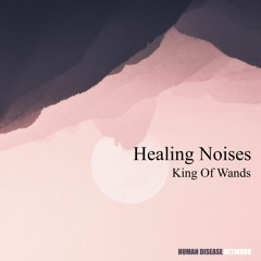 HDN012 | Healing Noises - King Of Wands LP