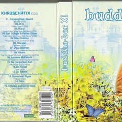 VA - Buddha-Bar XI (by Ravin) (2009) 2CD