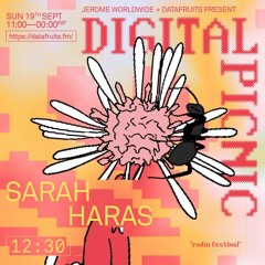 JEROME WORLDWIDE DIGITAL PICNIC - SARAH HARAS