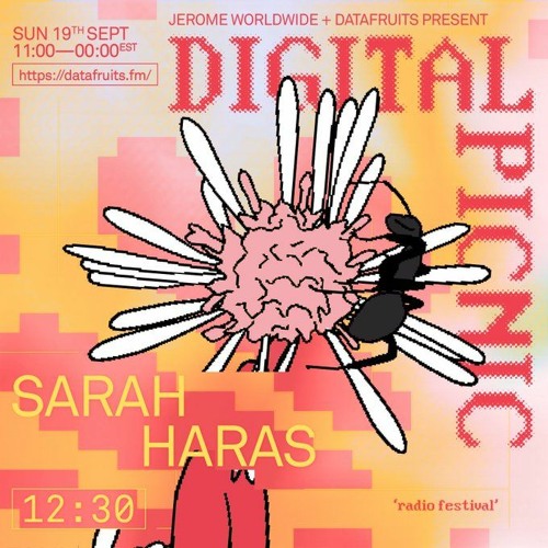 JEROME WORLDWIDE DIGITAL PICNIC - SARAH HARAS