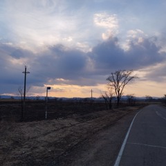 NEVER LEFT MY SIDE (Forrest Frank Cover)