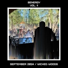 Benergy / Vol II / Wicked Woods