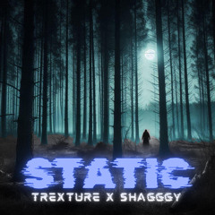 static  ~ trexture x shagggy.