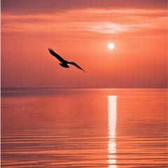 m@tro - Flying Into The sunset