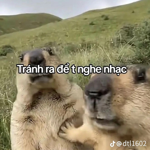 HOA CỎ LAU 2023 - KHOA KENNY X THANH BINH