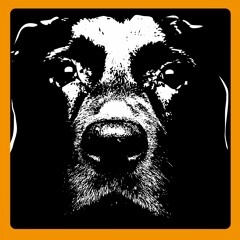 Harbour (Rodriguez Jr. Remix)