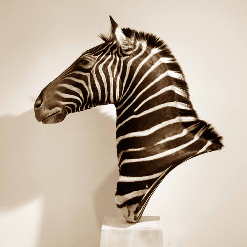 JazzJizz 127 Soundtrack