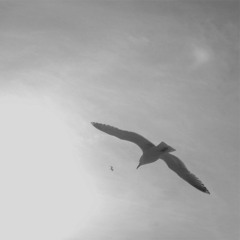 LOKI - Gonzáles - Cover - Jonathan Rosenfeld