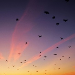 Echoes of Farewell
