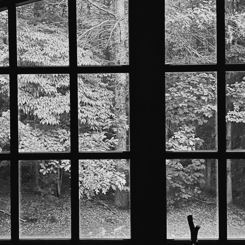 6AM IN THE APPALACHIANS (GRIEF)