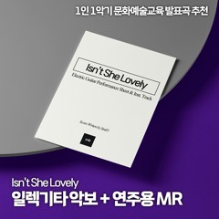 Isn't She Lovely for Electric Guitar ver. / 이즌쉬러블리 일렉 솔로