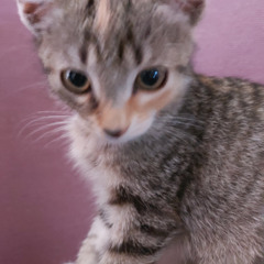 Derrick & Tonika - Slow Heaven (I Wannabe Remix)