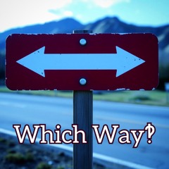 Which Way‽