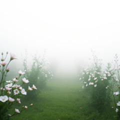 The Smile Beneath Plum Shadows