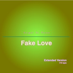 Fake Love (Extended Version)