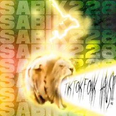 TIKTOKFONK HAUS, d3zik plxya - SABIK228