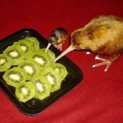 ilovkiwi