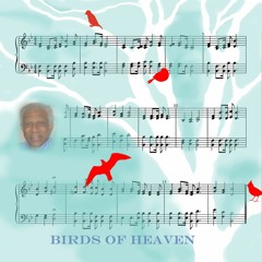 Birds Of Heaven (w Daniel Lockhart)